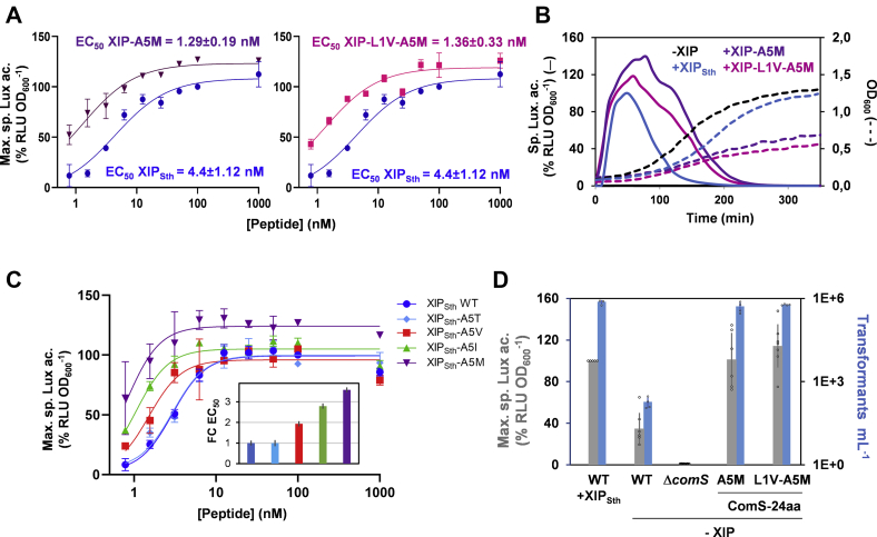 Figure 2