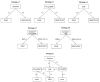Screening strategies based on symptoms, biomarker, and hand-held echocardiography