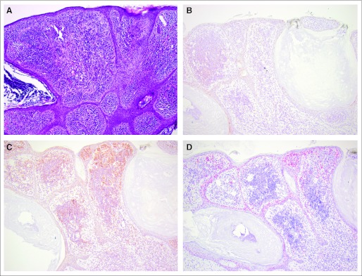 Fig 4.