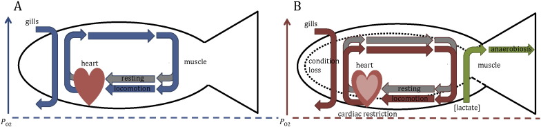 Fig. 2