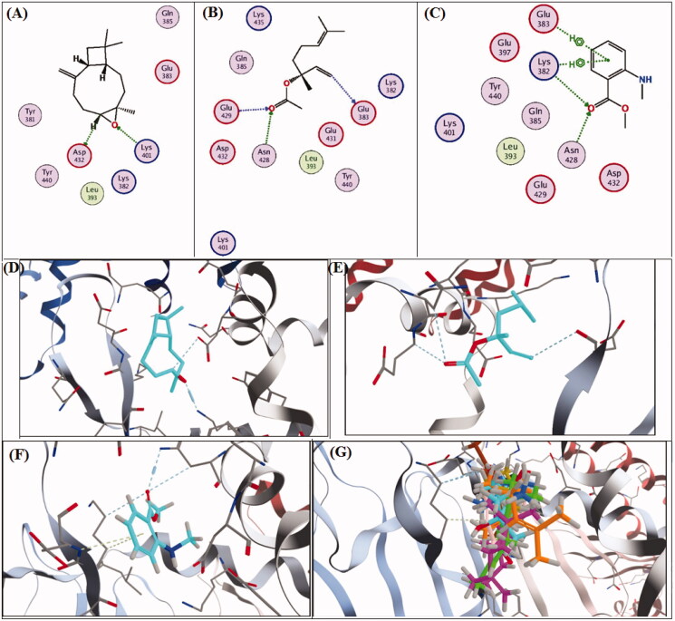 Figure 5.