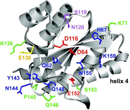 FIG. 7.