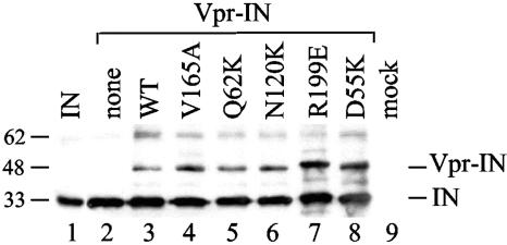 FIG. 5.