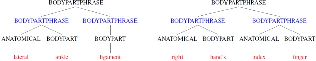 Figure 2.