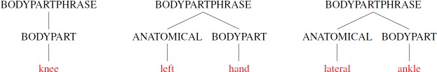 Figure 1.