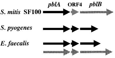 FIG. 6