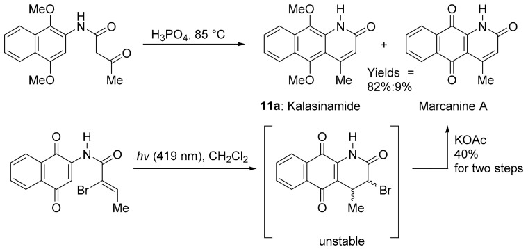 Scheme 8