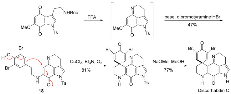 Scheme 13