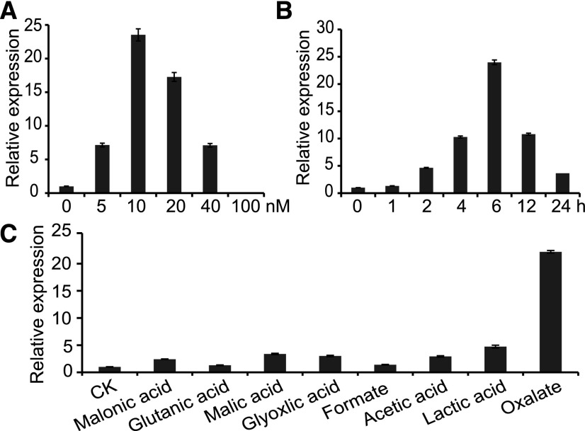 Figure 7.