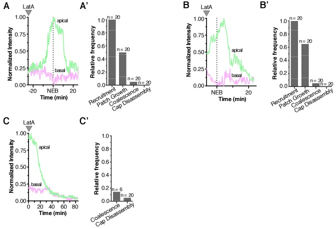 Figure 6—figure supplement 1.