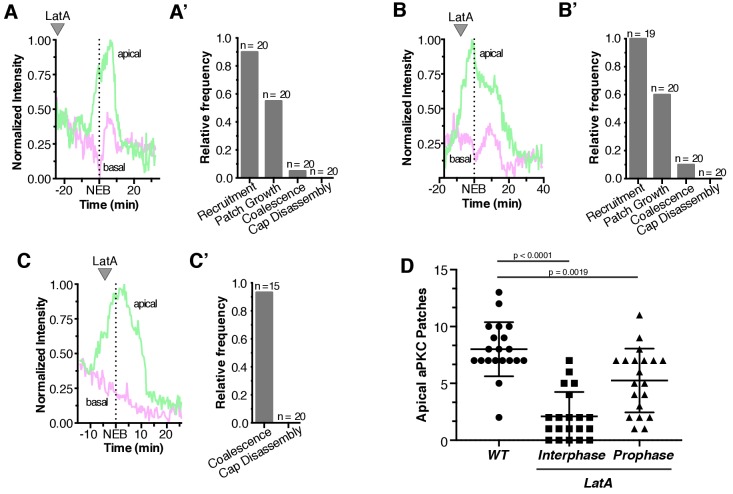 Figure 4—figure supplement 1.