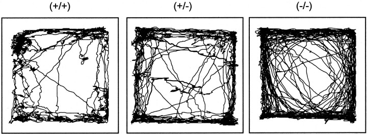 Fig. 5.