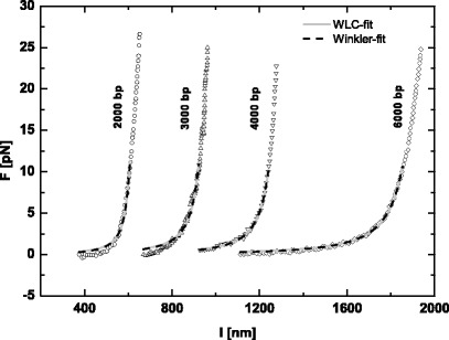 Fig. 6