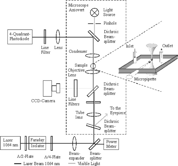 Fig. 1