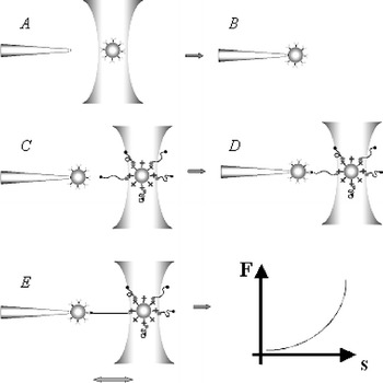 Fig. 5