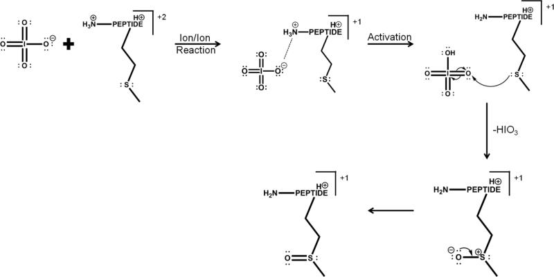 Scheme 2