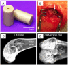 Fig. 4