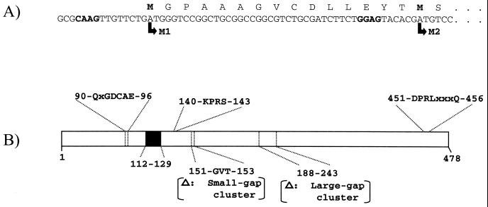 FIG. 1