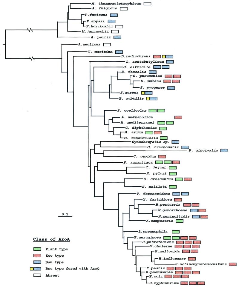 FIG. 4