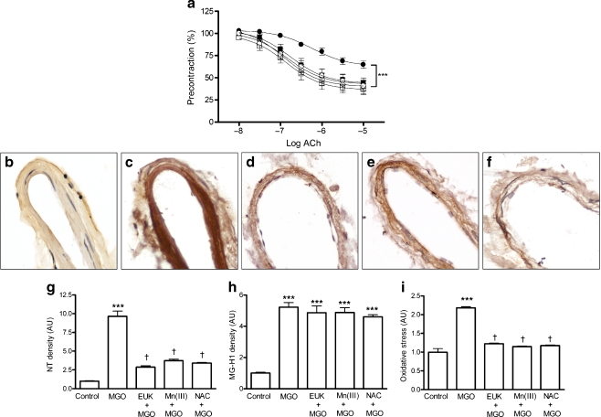 Fig. 6