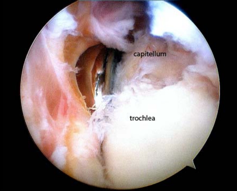 Fig. 2