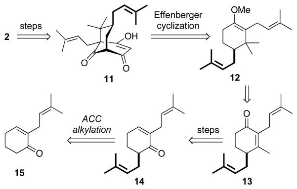 Scheme 2