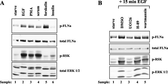 FIG. 5.