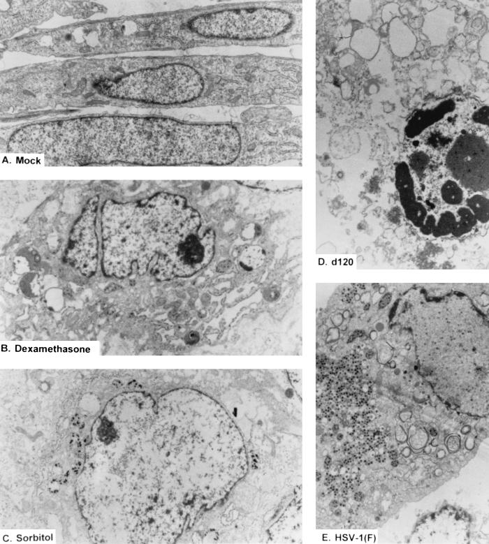 FIG. 7