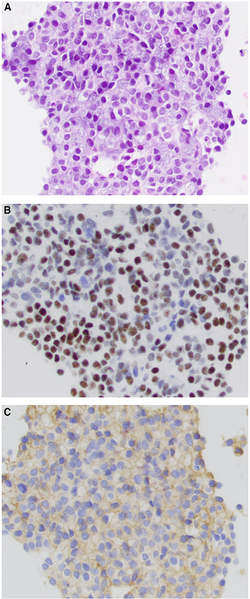 Figure 3.