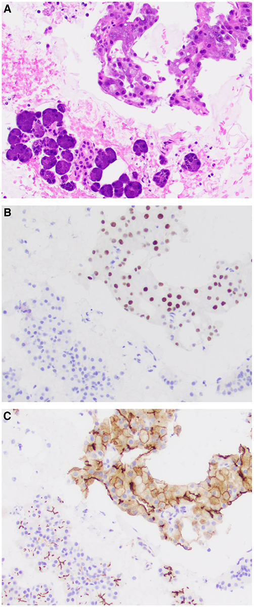 Figure 2.