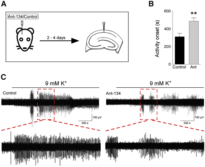 Figure 5