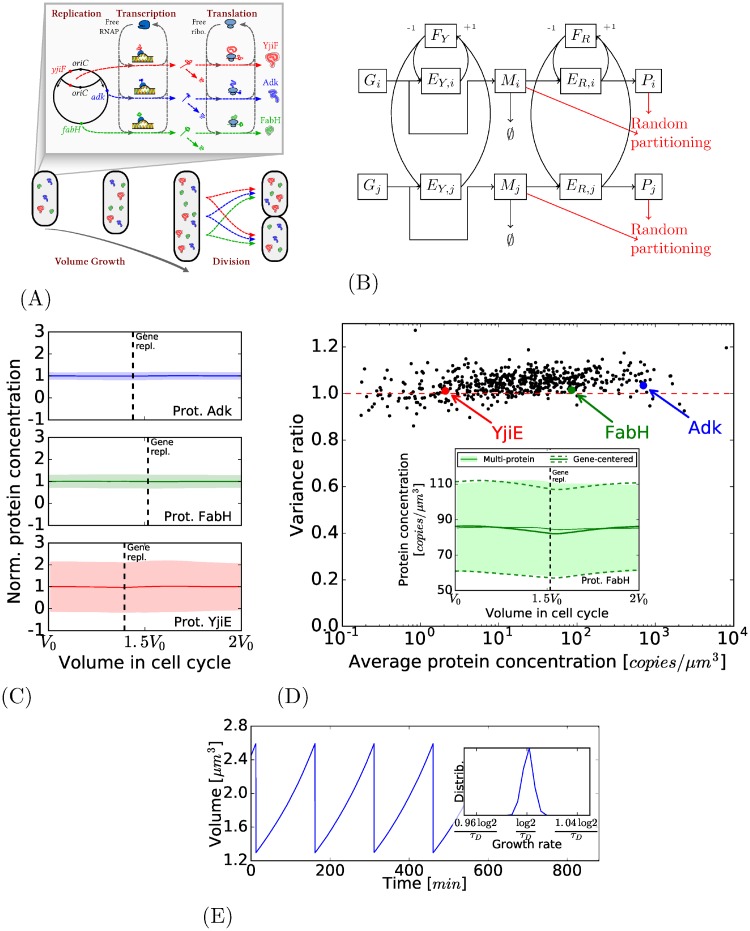 Fig 4