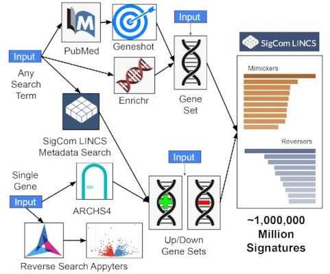 Graphical Abstract