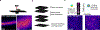 Extended Data Fig. 4 |