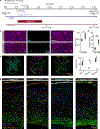 Extended Data Fig. 7 |