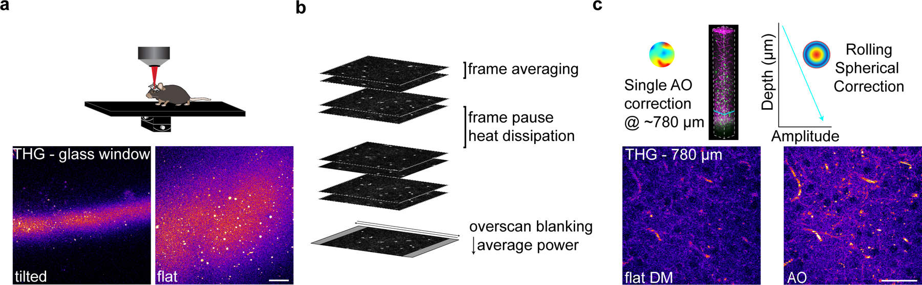 Extended Data Fig. 4 |