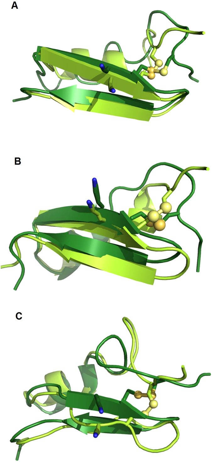 Figure 8