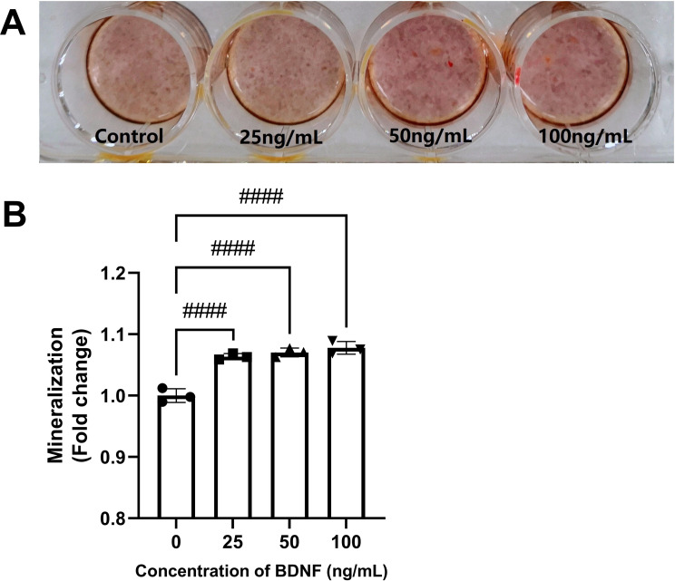 Figure 1—figure supplement 1.