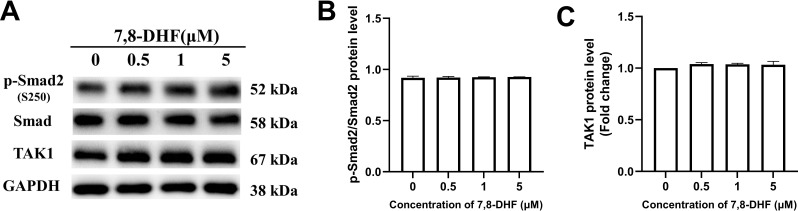 Figure 2—figure supplement 2.