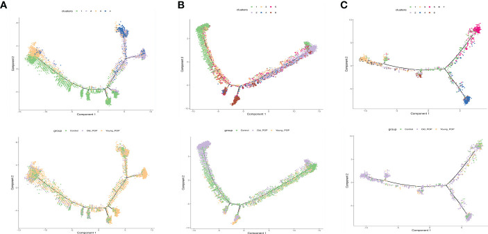 Figure 6