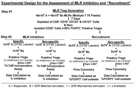 graphic file with name nihms149508u1.jpg