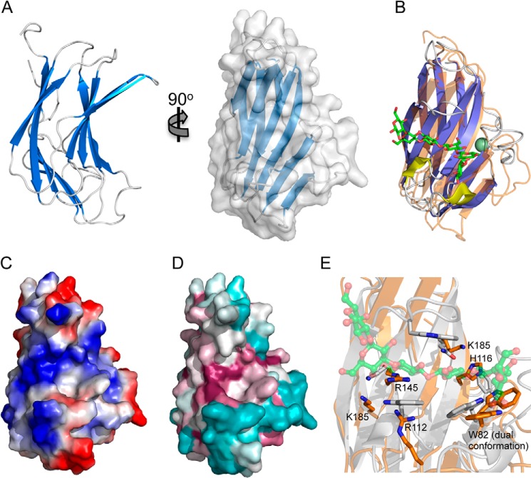 FIGURE 2.