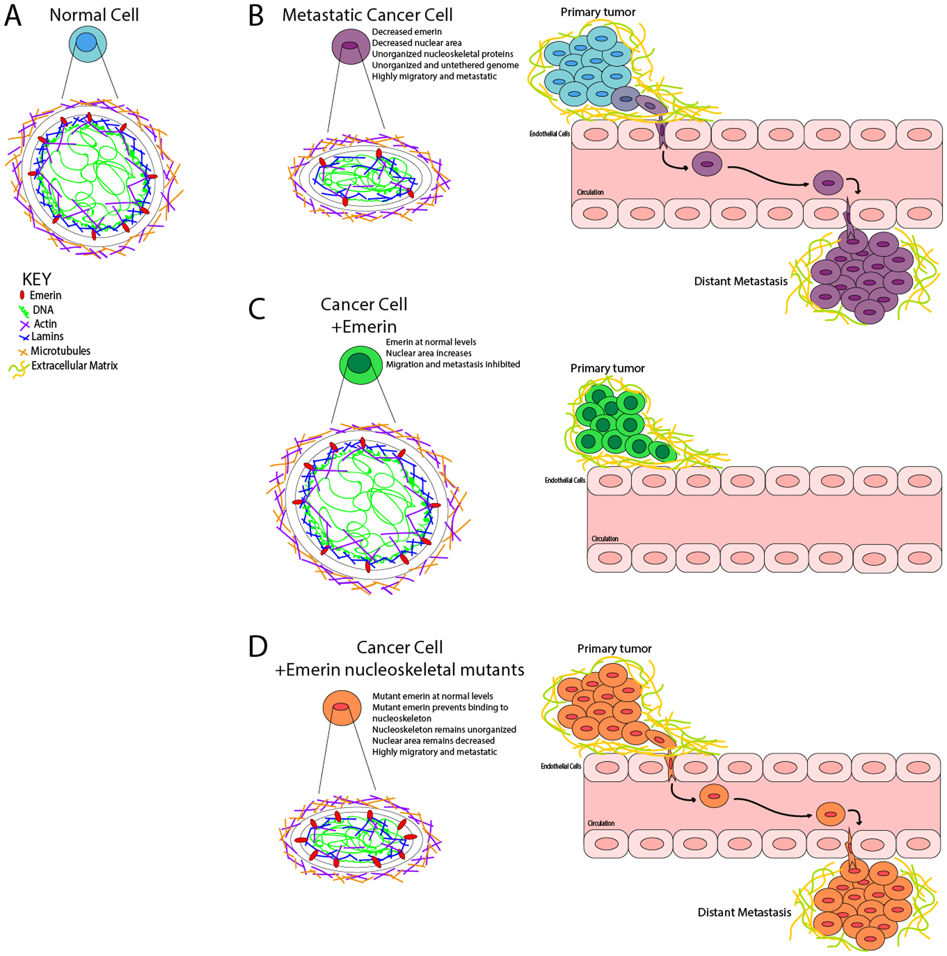 Figure 7: