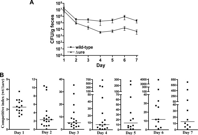 Fig 6