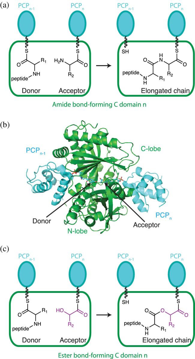 FIGURE 3