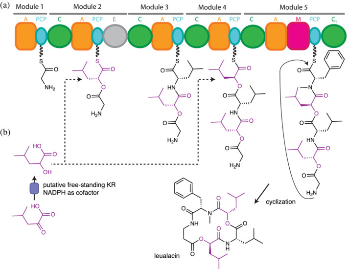 FIGURE 4