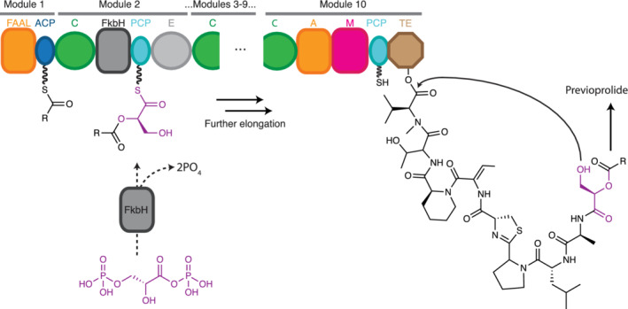 FIGURE 15