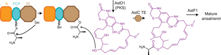 FIGURE 11