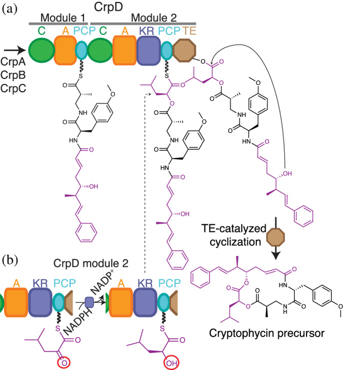 FIGURE 14