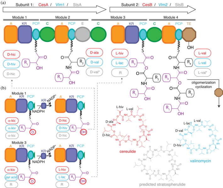 FIGURE 16